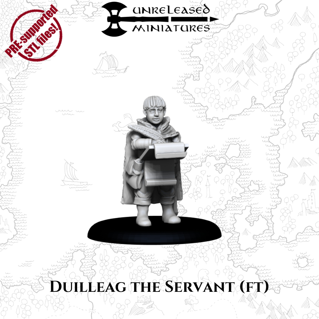 DUILLEAG THE SERVANT (FT)