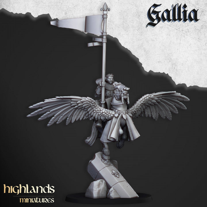28mm Pegasus Knights Command - Gallia