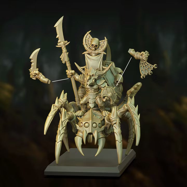 GOLBIN CHAMPION ON HUNTSMEN SPIDER