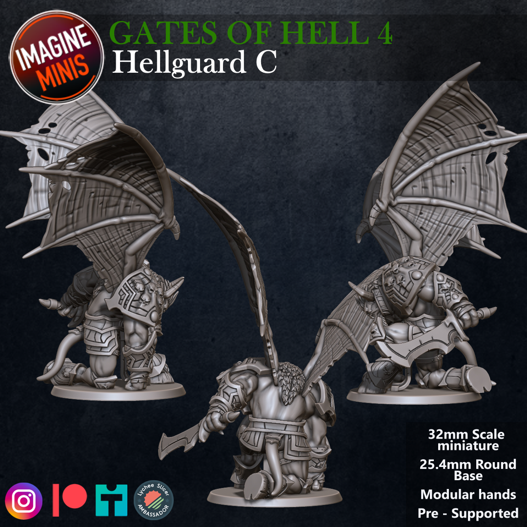 Role-Playing Miniatures - Hellguard C