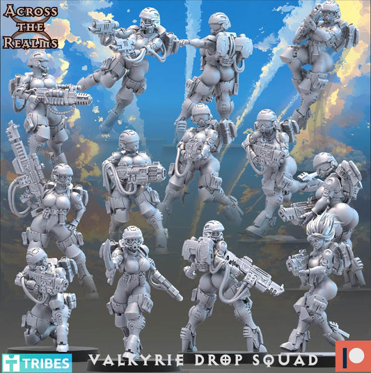 28mm Valkyrie Drop Squad