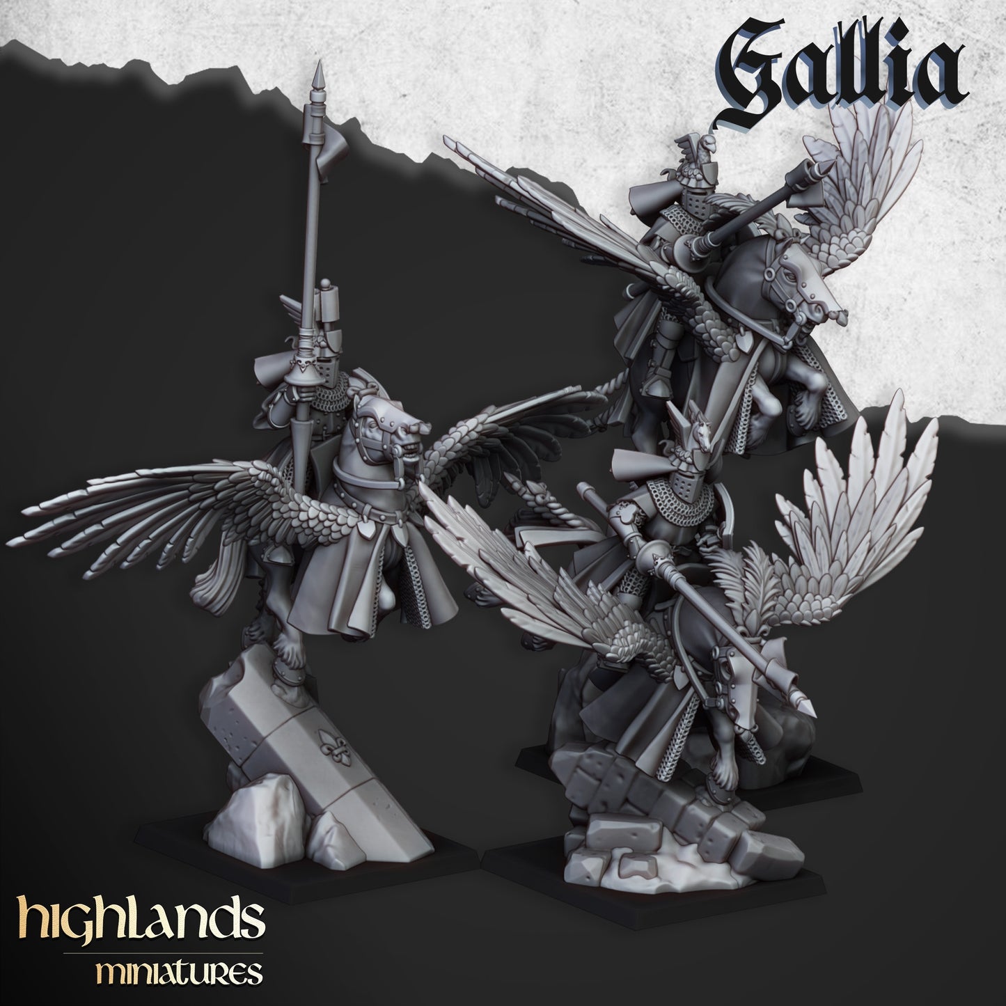 28mm Pegasus Knights - Gallia
