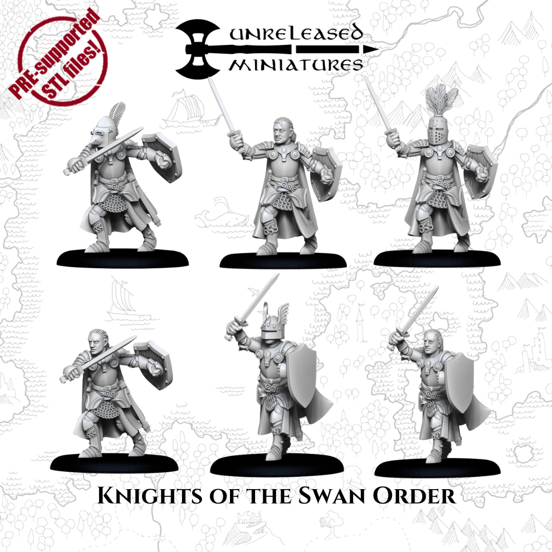 28mm Knights of the Swan Order
