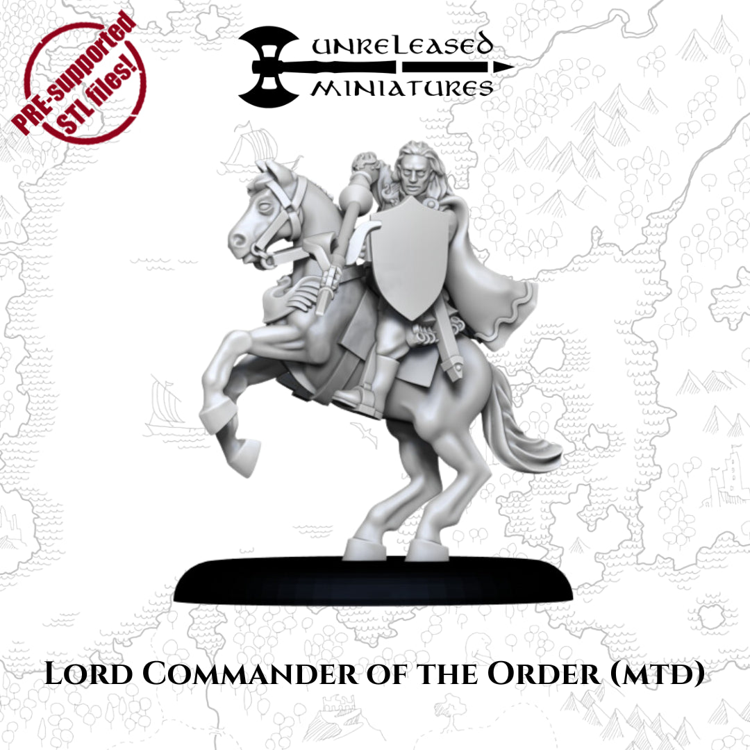 28mm Lord Commander of the Order (mtd)