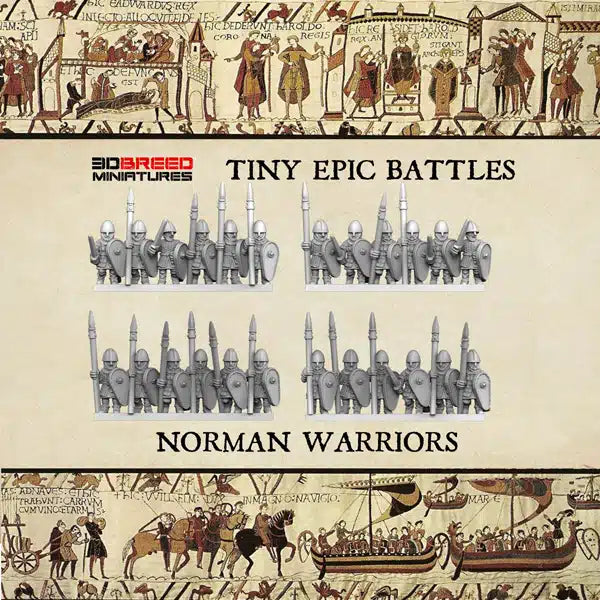 Hastings & Standford Bridge - 10mm Norman Warriors