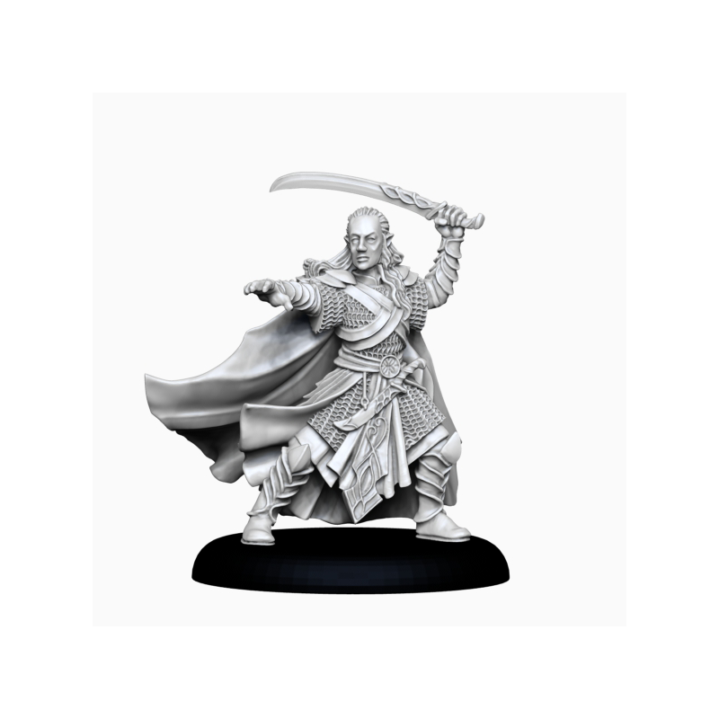 28mm Noble Elf Bladesinger