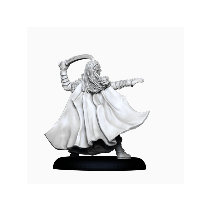 28mm Noble Elf Bladesinger