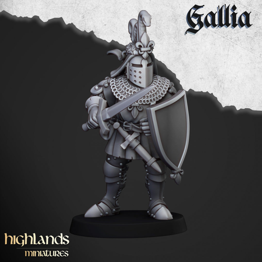 28mm Knights on Foot - Gallia