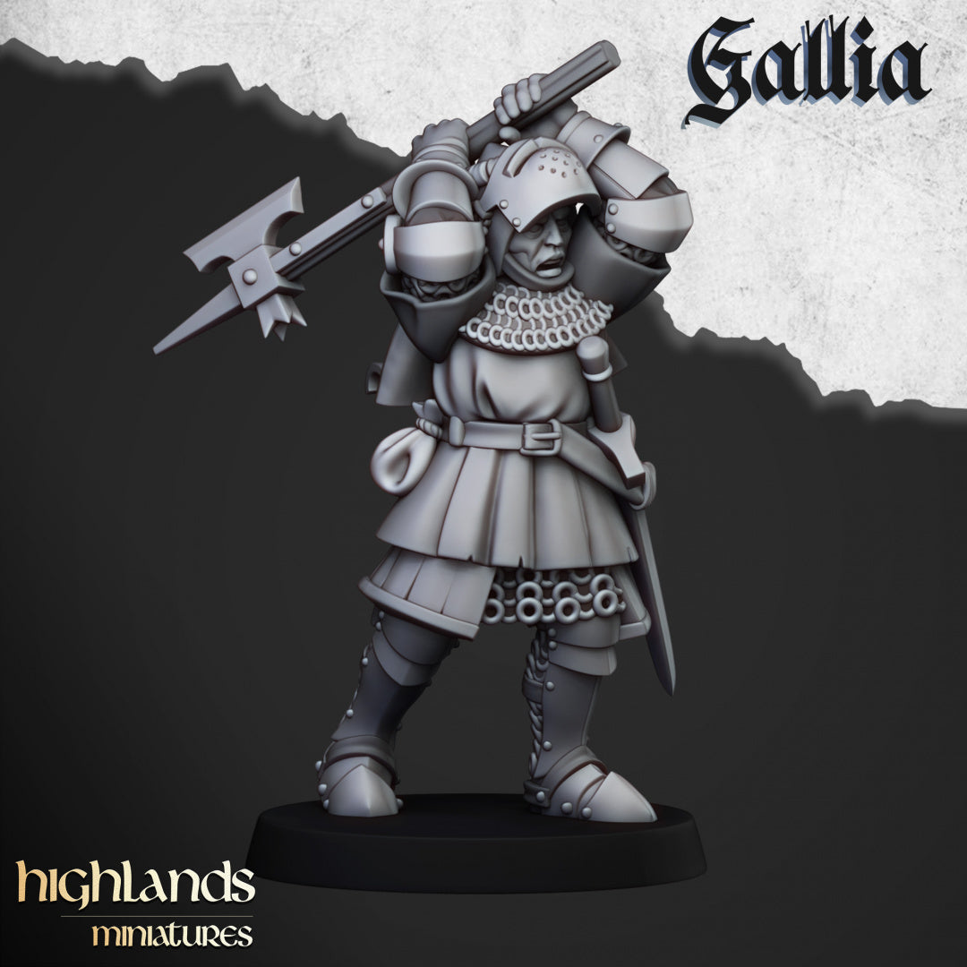 28mm Knights on Foot - Gallia