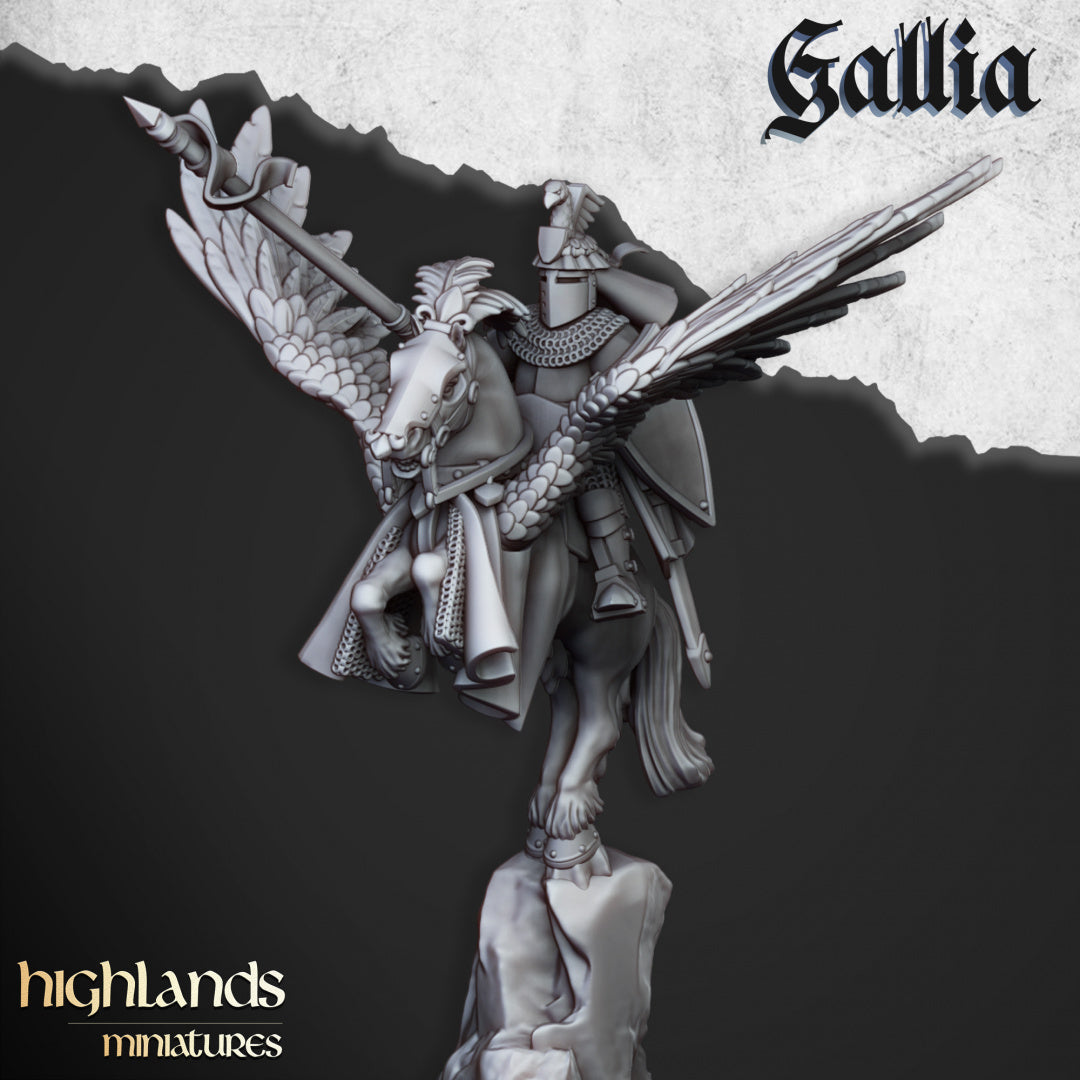 28mm Pegasus Knights - Gallia