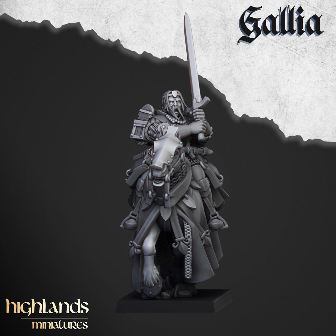 28mm Questing Knights - Gallia