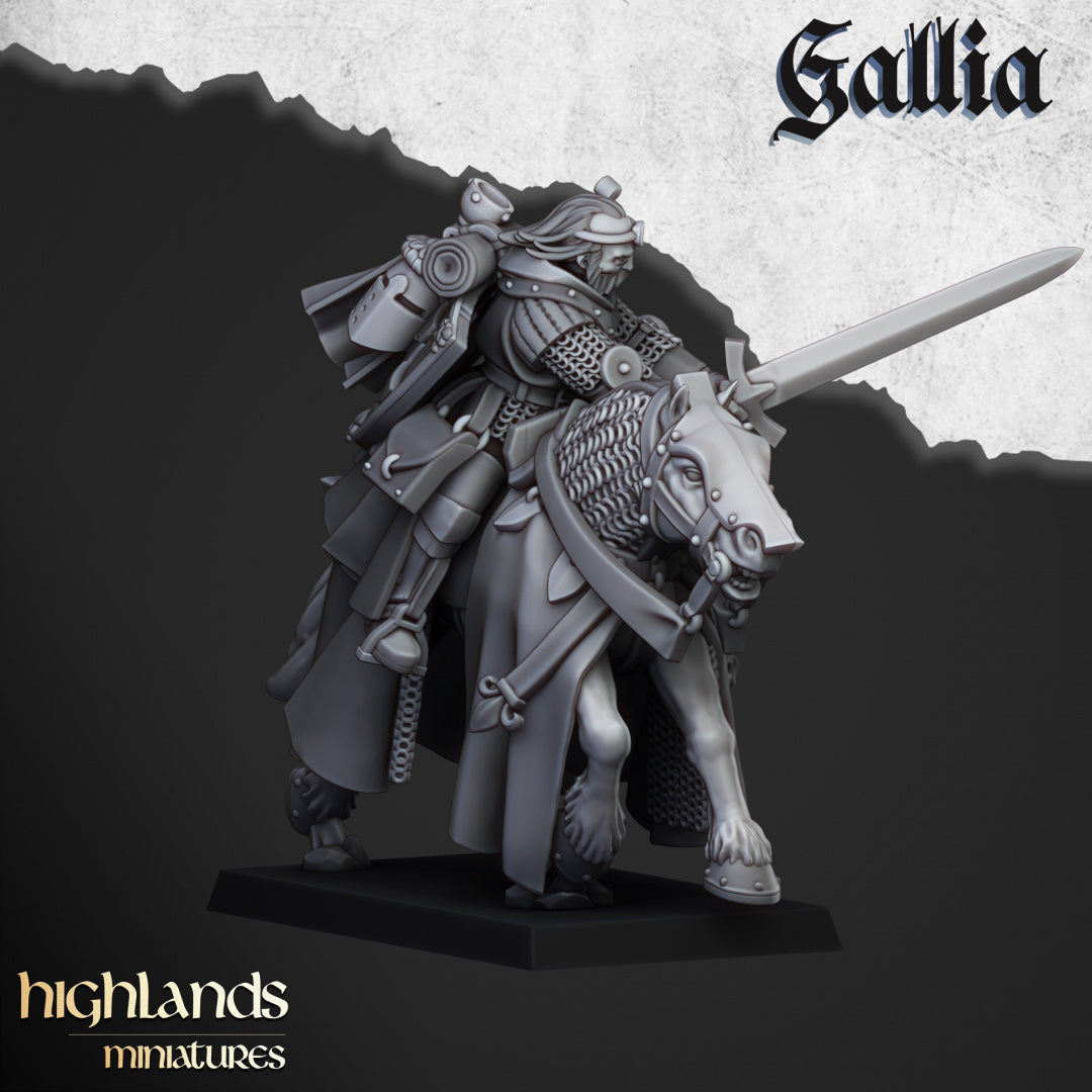 28mm Questing Knights - Gallia