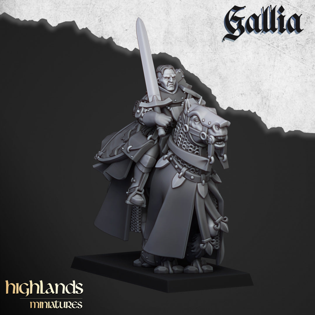 28mm Questing Knights - Gallia