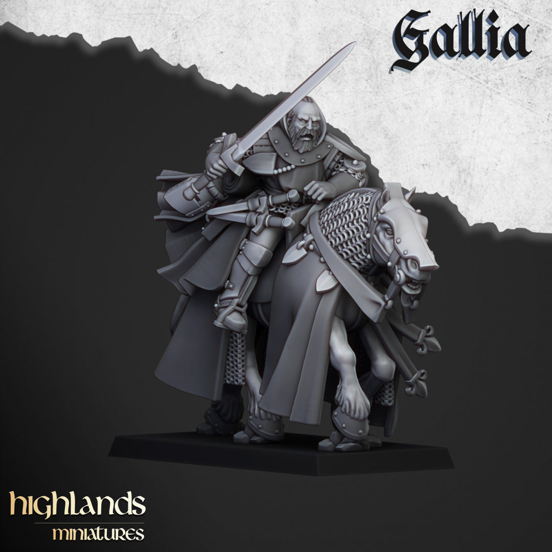 28mm Questing Knights - Gallia