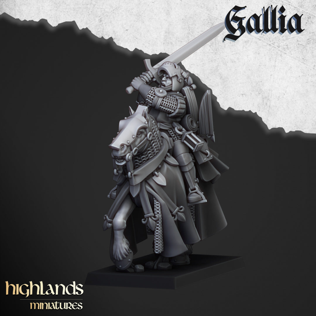28mm Questing Knights - Gallia