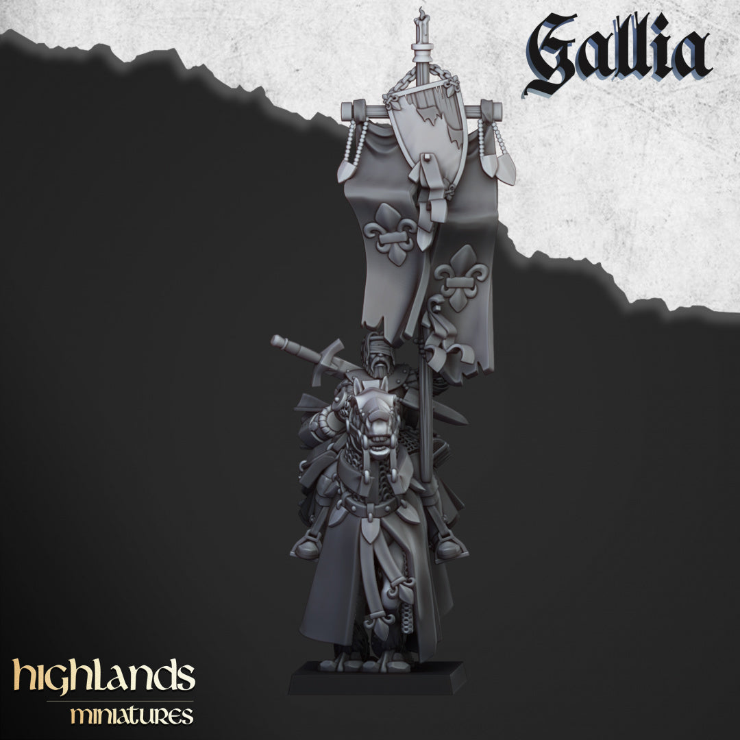 28mm Questing Knights - Gallia