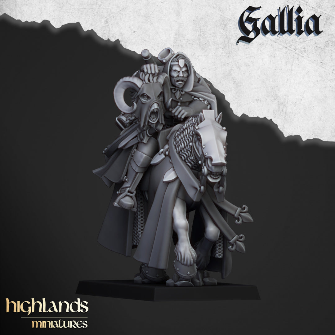 28mm Questing Knights - Gallia