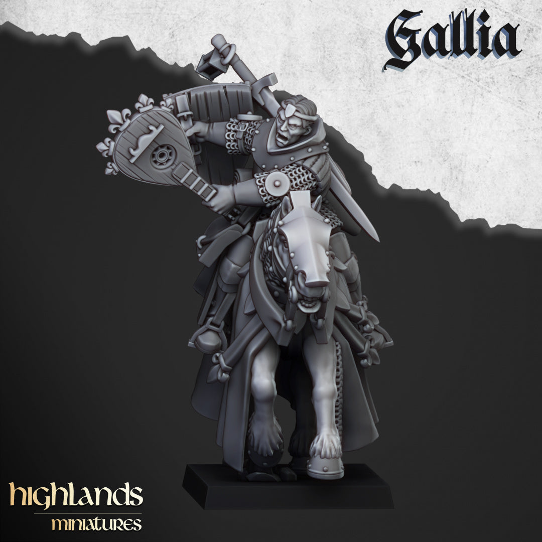 28mm Questing Knights - Gallia