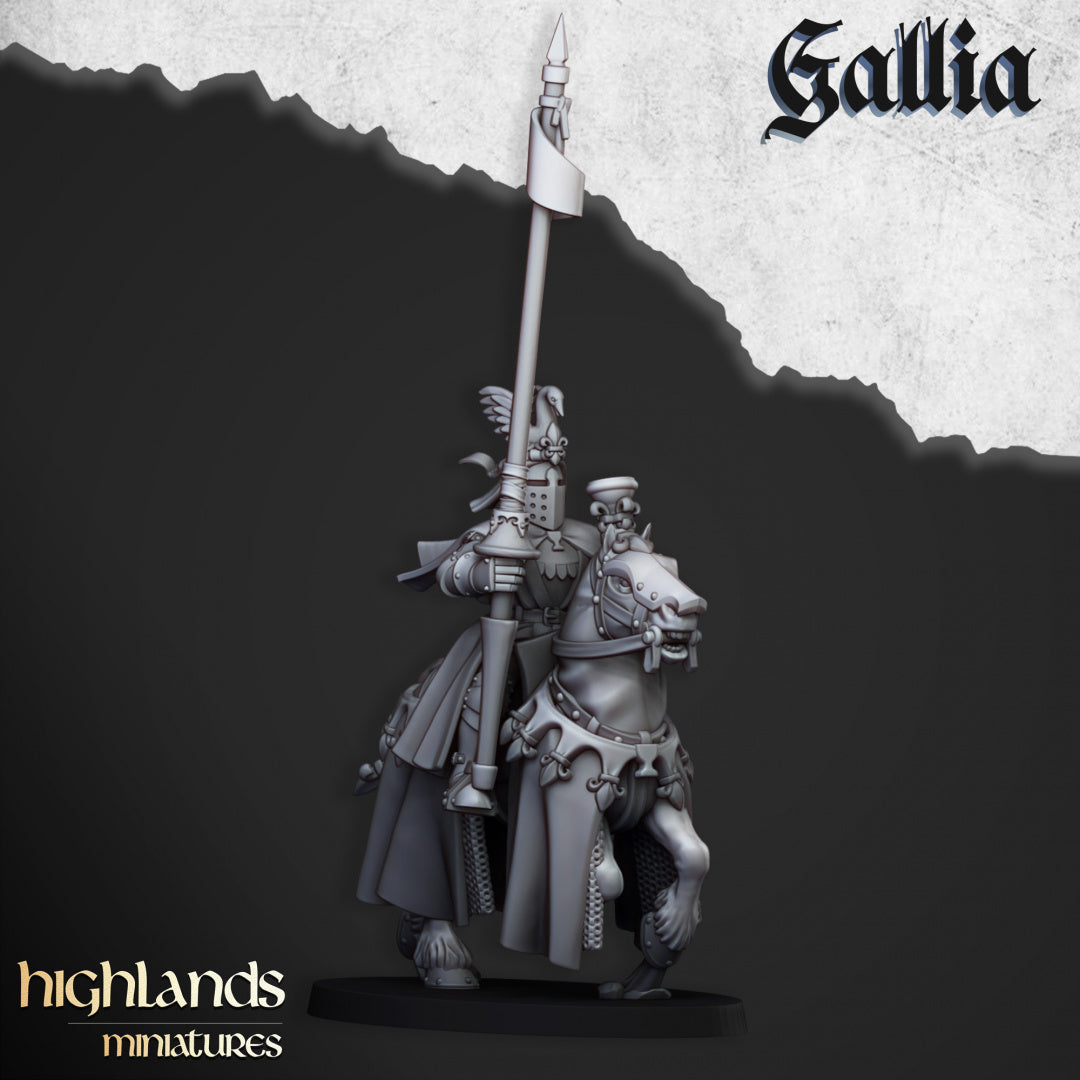 28mm Royal Knights - Gallia