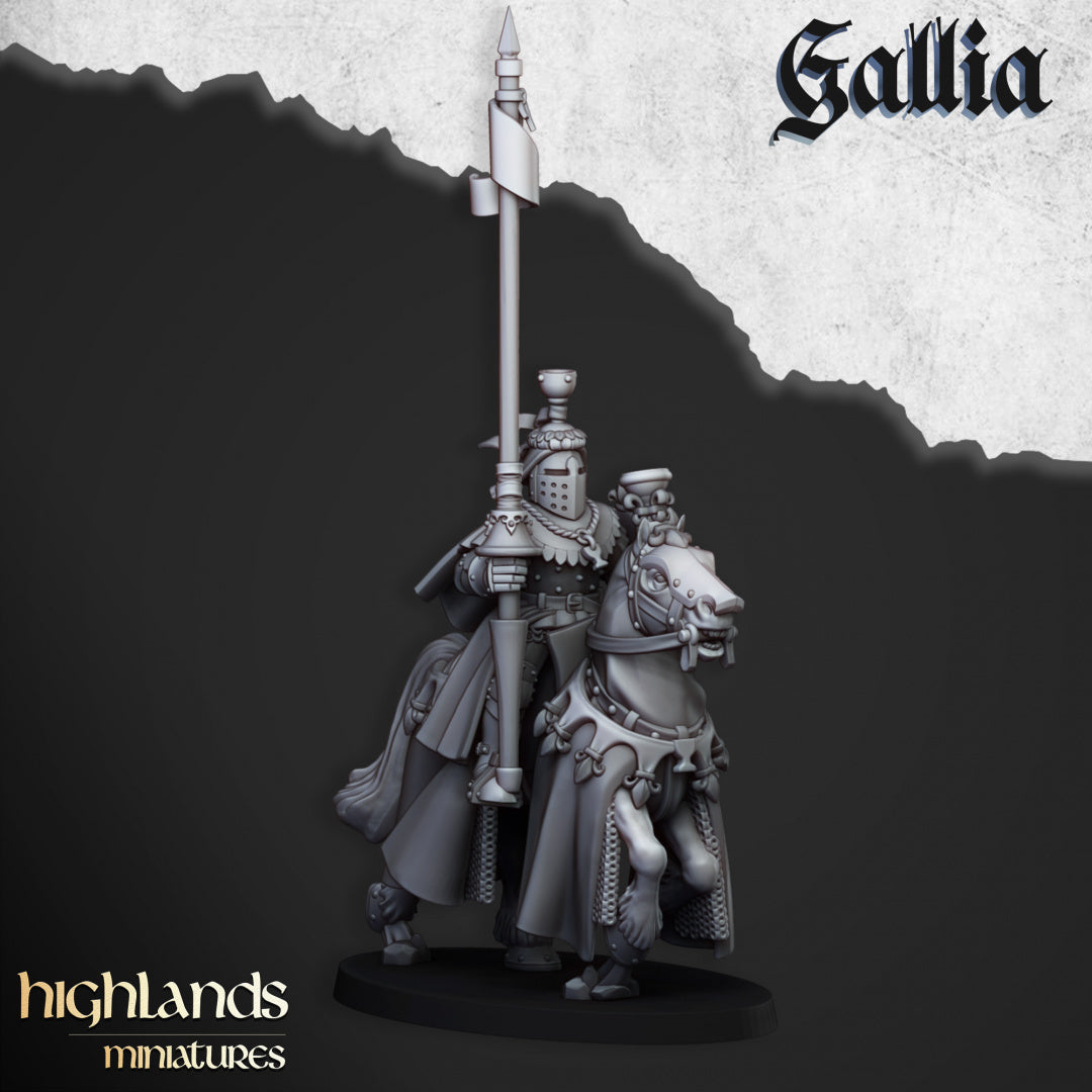 28mm Royal Knights - Gallia