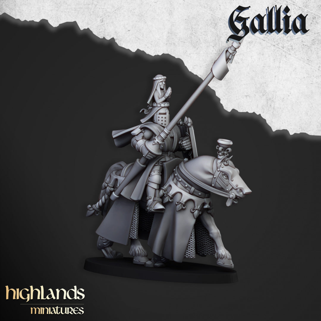 28mm Royal Knights - Gallia