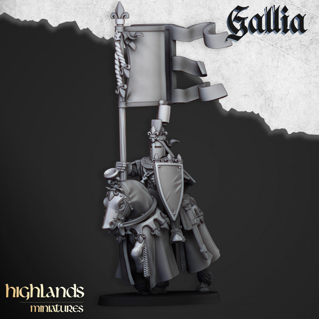 28mm Royal Knights - Gallia