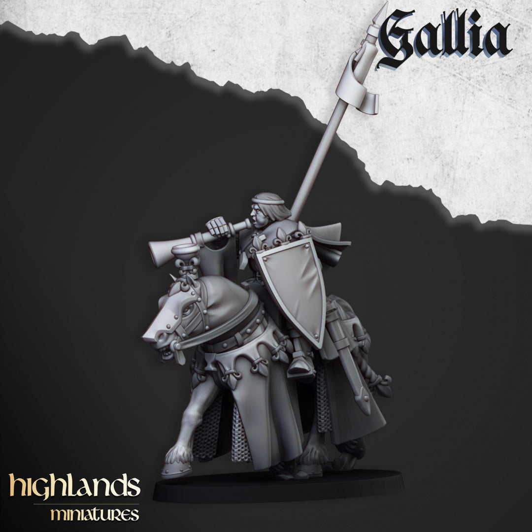28mm Royal Knights - Gallia