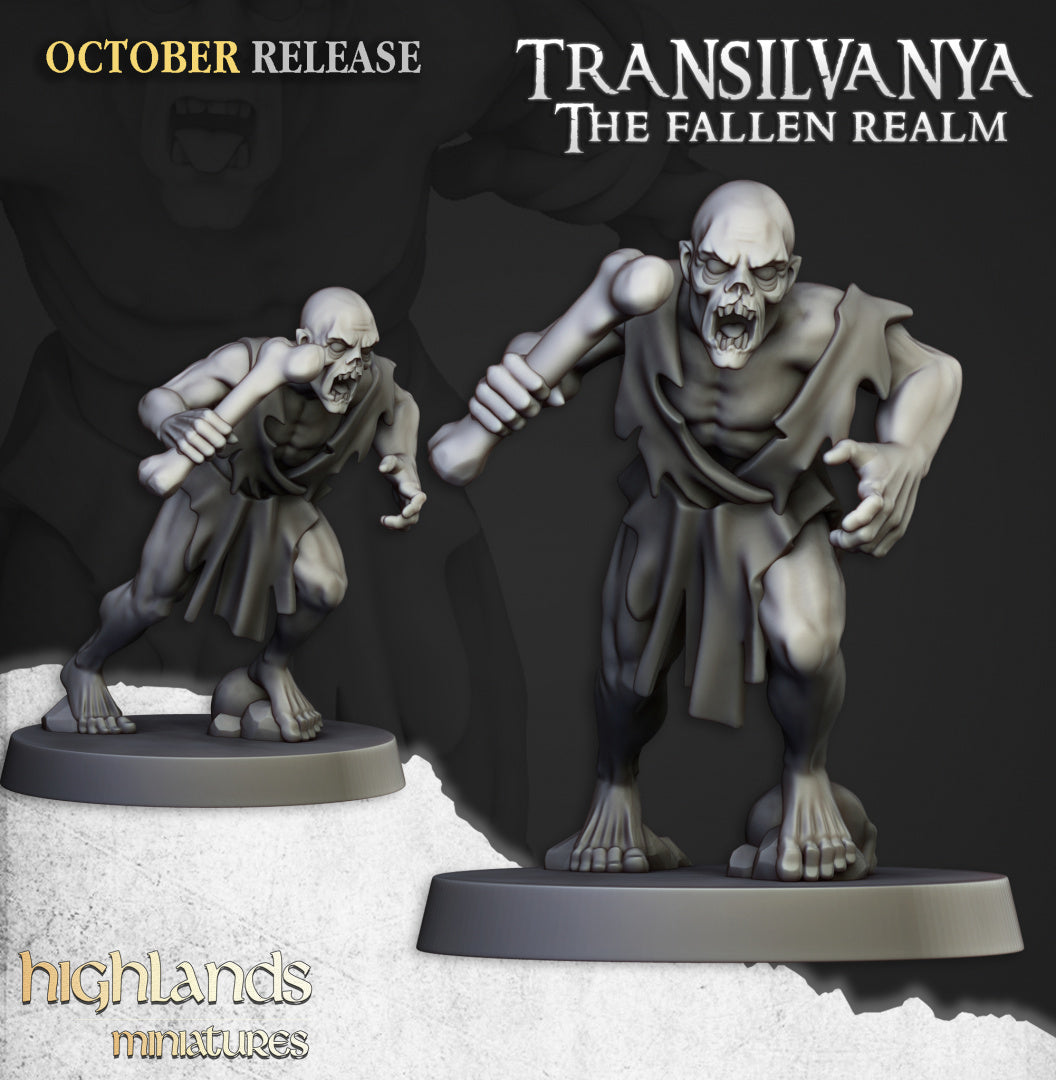 28mm Ghouls - Transilvanya