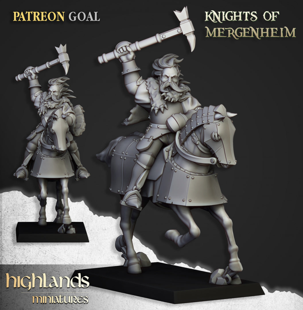 28mm Knights of Mergenheim - Sunland