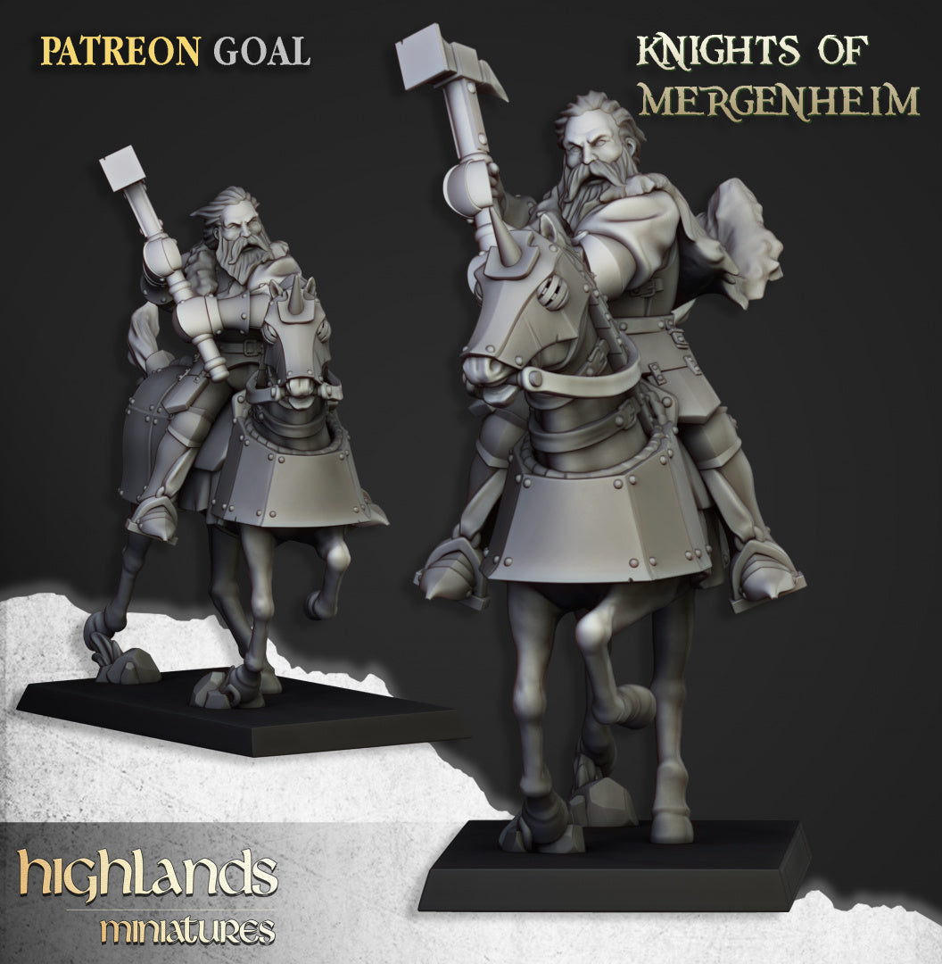 28mm Knights of Mergenheim - Sunland