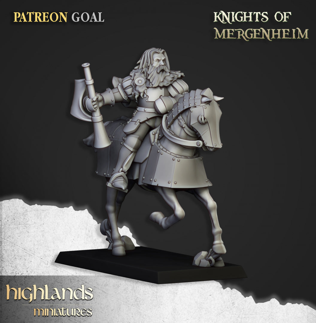 28mm Knights of Mergenheim - Sunland