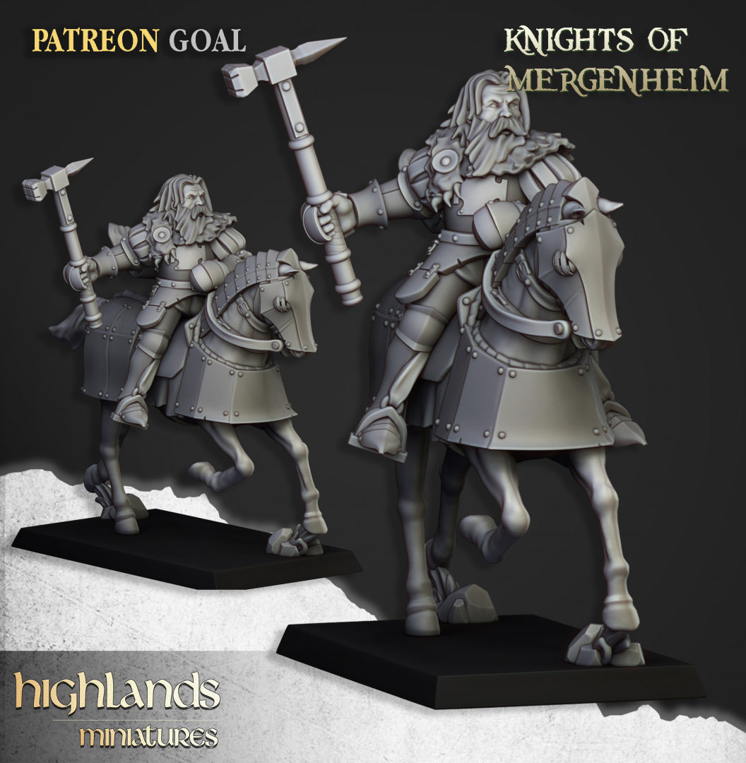 28mm Knights of Mergenheim - Sunland