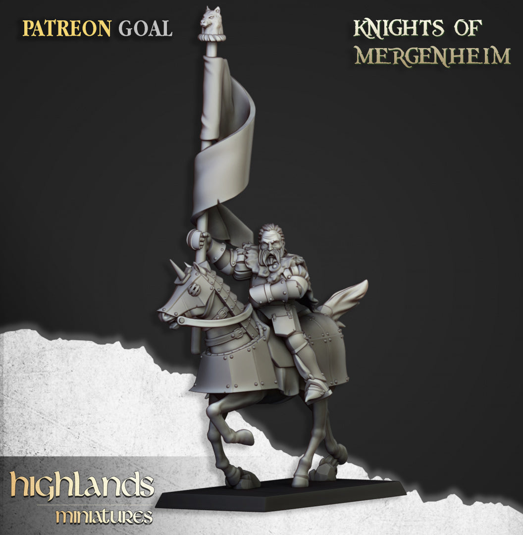 28mm Knights of Mergenheim - Sunland