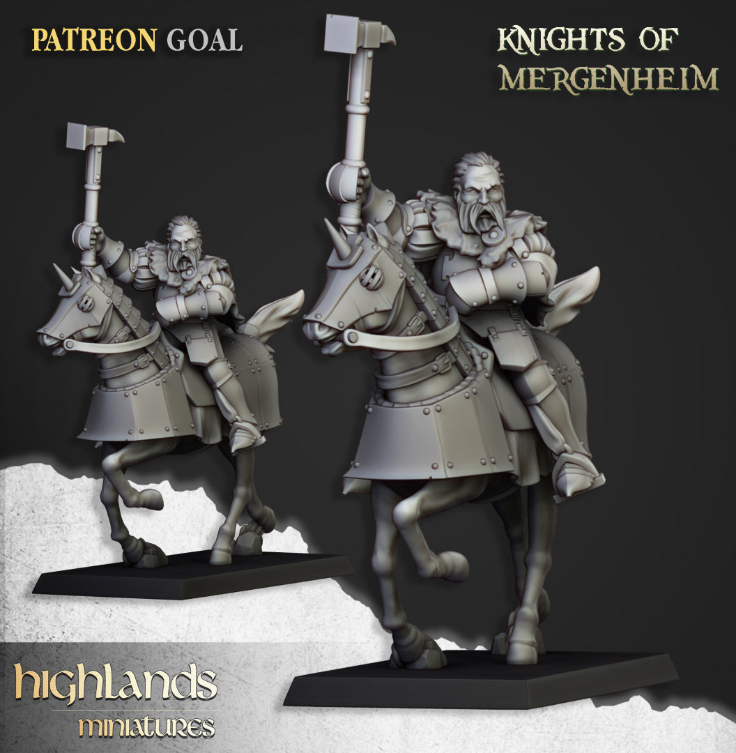 28mm Knights of Mergenheim - Sunland
