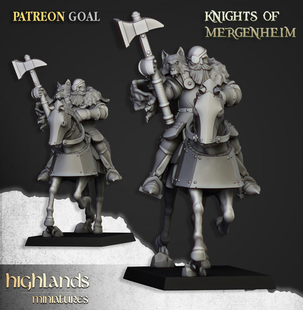 28mm Knights of Mergenheim - Sunland