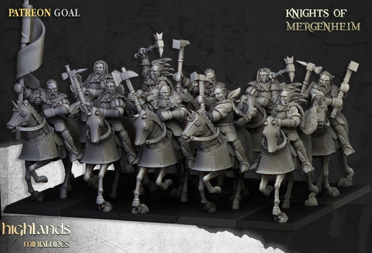 28mm Knights of Mergenheim - Sunland
