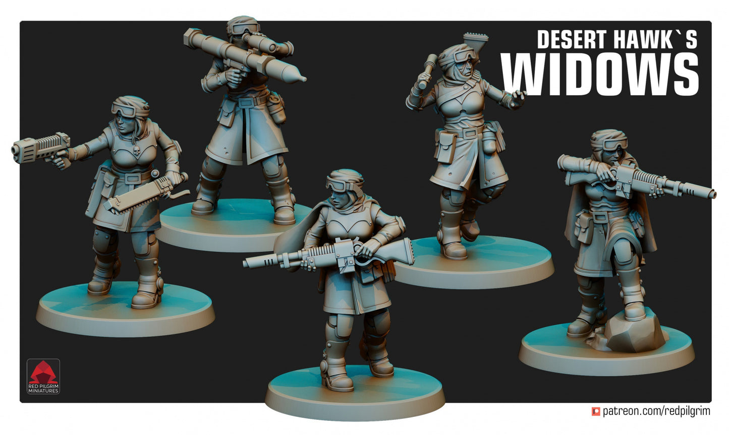 28mm Desert Hawks Widows