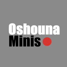 Oshouna Minis offers high-quality fantasy proxy miniatures for resin 3D printing. Dynamic STL models perfect for tabletop wargames, RPGs, and hobby painters seeking unique army options.