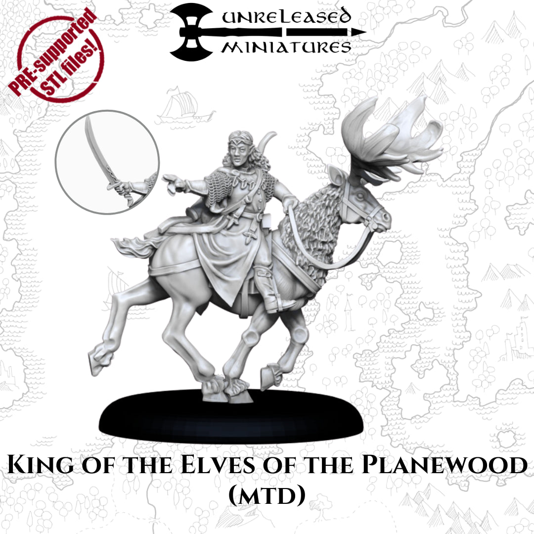 28mm King of the Elves of the Planewood