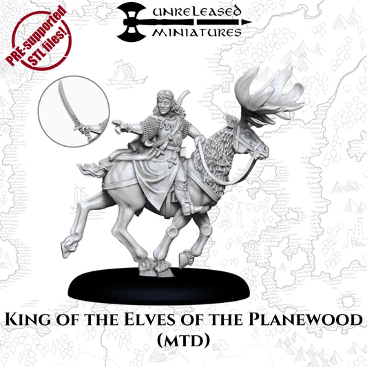 28mm King of the Elves of the Planewood