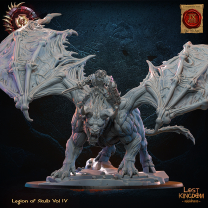GASERIC, THE SKULL KING ON DRACHIMERA