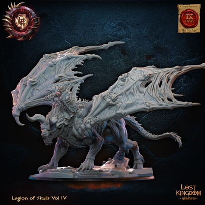GASERIC, THE SKULL KING ON DRACHIMERA