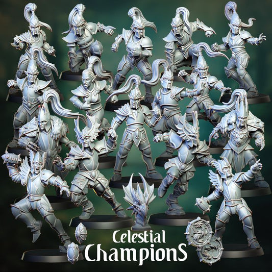 DRAGON CHAMPIONS