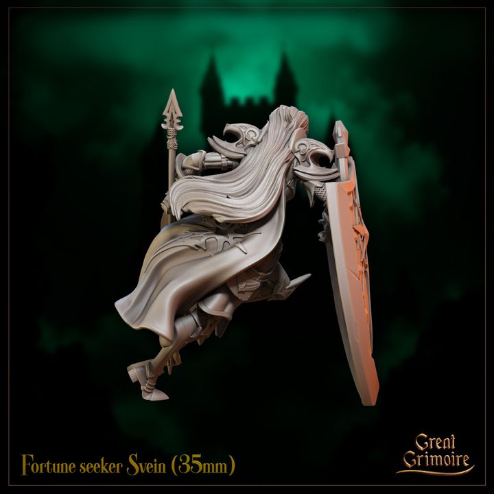 FORTUNE SEEKER SVEIN