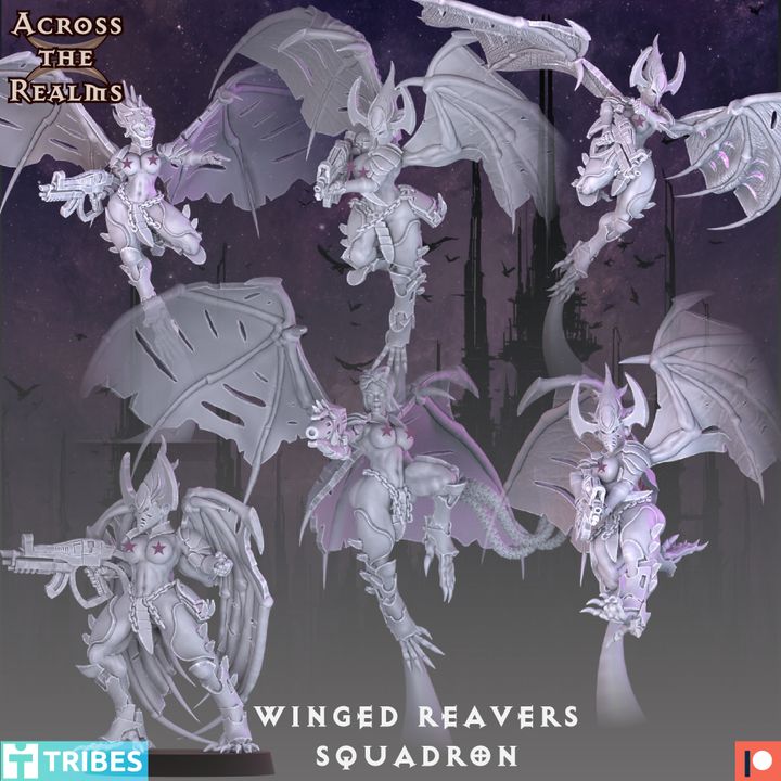 28mm Winged Reavers Squadron