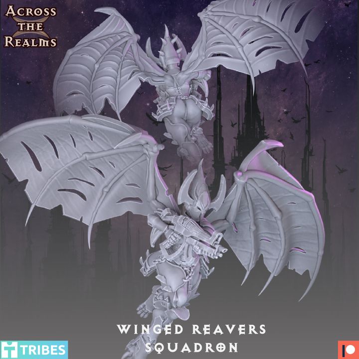 28mm Winged Reavers Squadron