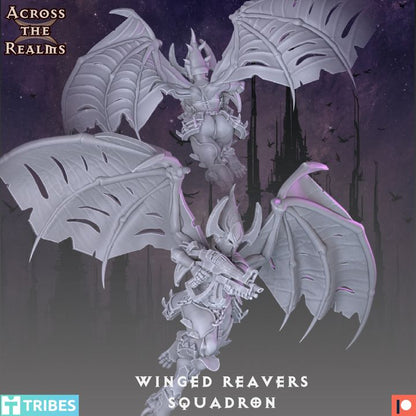28mm Winged Reavers Squadron