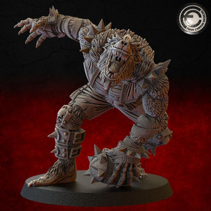 WEREWOLF STAR PLAYER