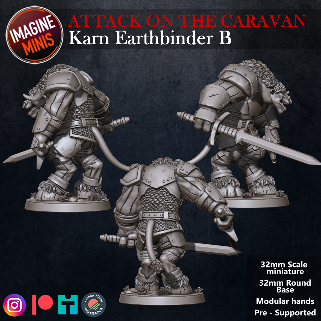 Role-Playing Miniatures - Karn Earthbinder B