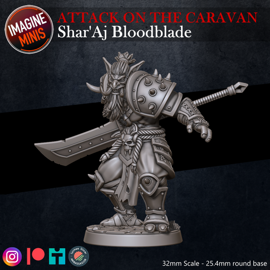 Role-Playing Miniatures - Shar'Aj Bloodblade